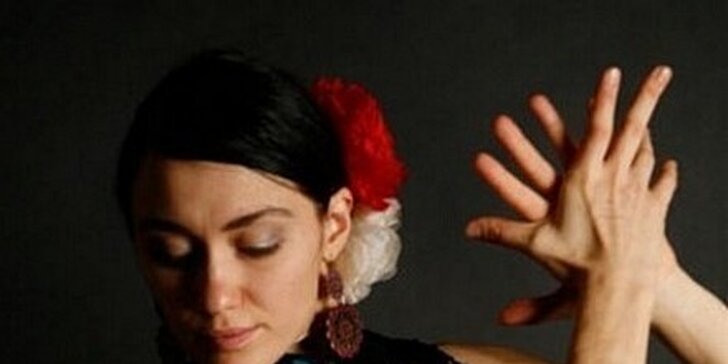 1050 Kč za 10 lekcí Flamenca v taneční škole Rilife. Sleva 42 %