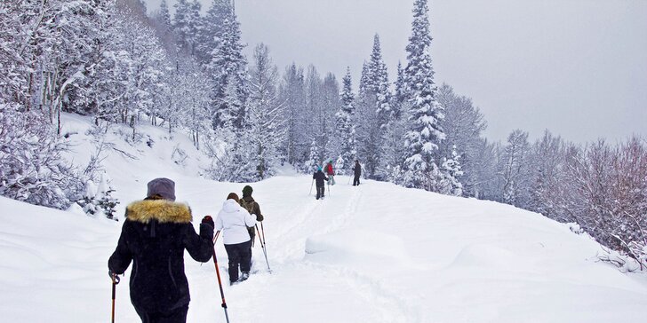 Krása pod sněhem: zimní procházka na sněžnicích s průvodcem pro pár