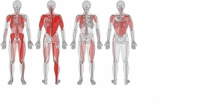 520 Kč místo 800 Kč za vyšetření, diagnostiku a terapii pohybového aparátu