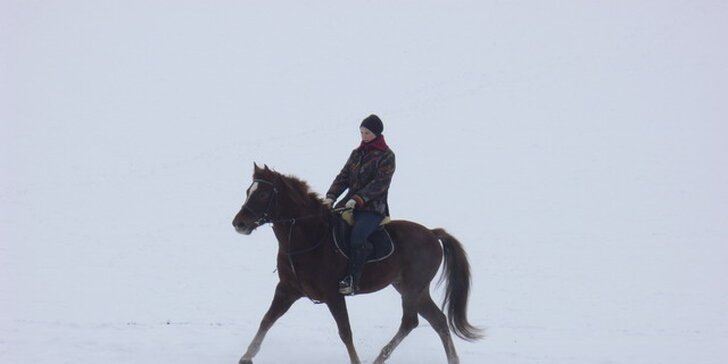 Hurá do sedla: 60minutová vyjížďka na koni zimní krajinou