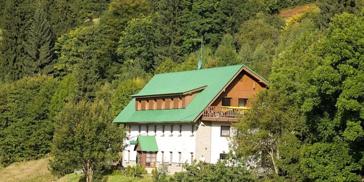 Hotel je zasazen do uklidňující zeleně.