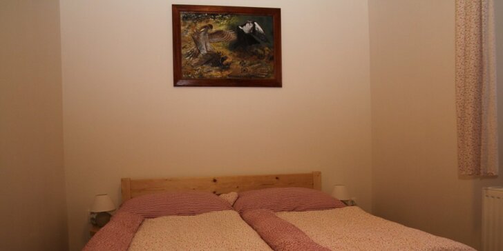 Pobyt v prostorných apartmánech u Adršpašských skal: 3 nebo 4 dny pro dvě i více osob