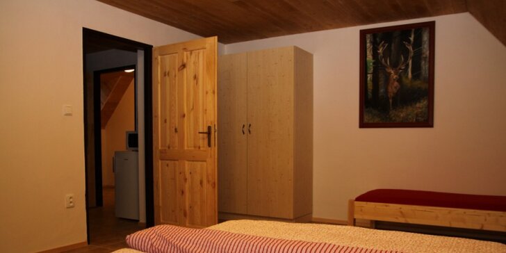 Pobyt v prostorných apartmánech u Adršpašských skal: 3 nebo 4 dny pro dvě i více osob
