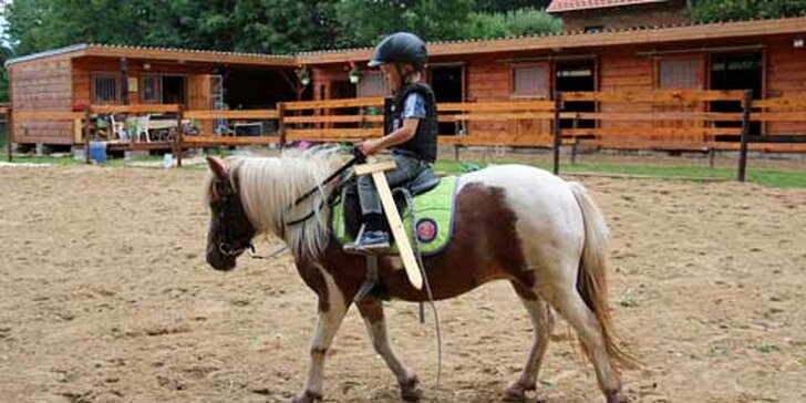 Klusová vyjížďka na koni s jezdeckou školou Macek