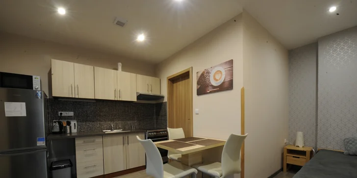 Kuchyňka je vybavená nadstandardně. Nakoupit můžete na náměstí, cca 10 minut pěšky.