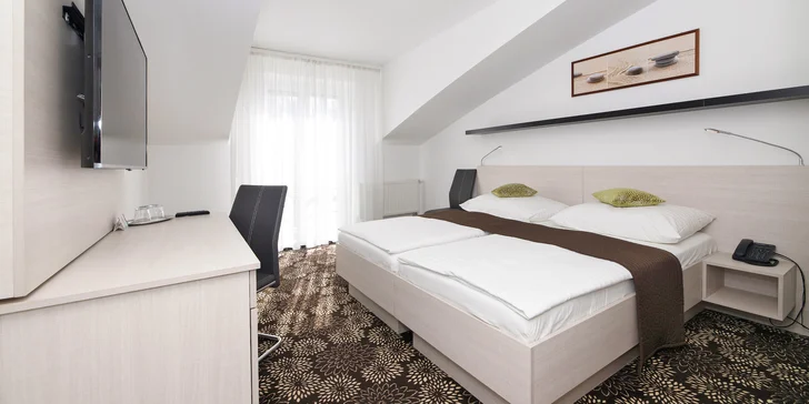 Hotel stojí u Borského parku, cca 3 km od centra.