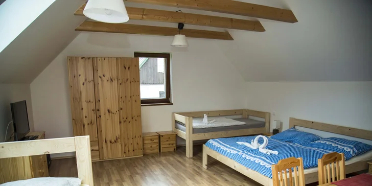 Kromě apartmánu DeLuxe najdete v nabídce i klasické apartmány až pro 4 osoby.
