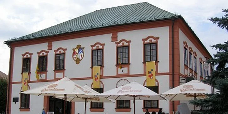 169 Kč za menu pro 2 osoby v Radniční restauraci v hodnotě 398 Kč