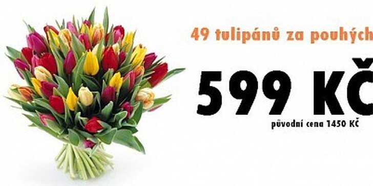 599 Kč za nejlevnější tulipány v ČR. 49 kusů až k Vám domů!