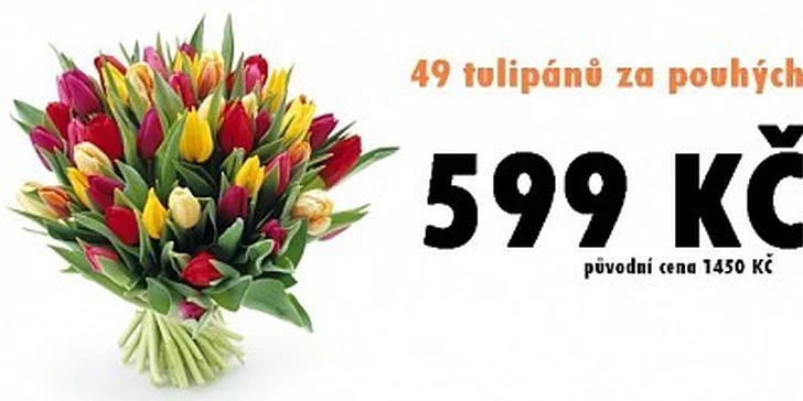 599 Kč za nejlevnější tulipány v ČR. 49 kusů až k Vám domů!