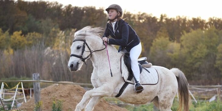 Svátky ve společnosti koní: Zážitkový pobyt u koní pro 1 či 2 osoby