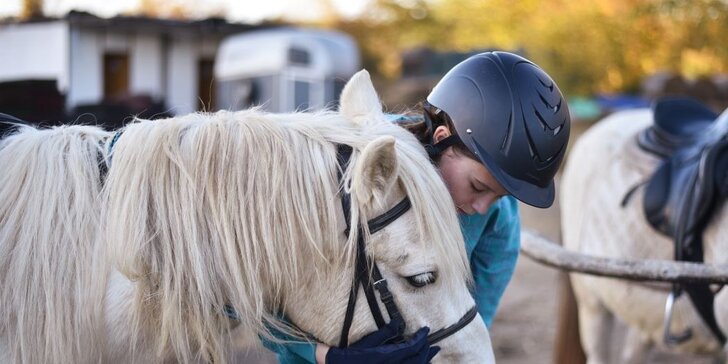 Nejkrásnější pohled na svět je z koňského hřbetu: péče o koně i vyjížďka
