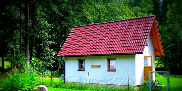 Užijte si Českou Kanadu: 3 dny ve vybavených apartmánech se zahradou