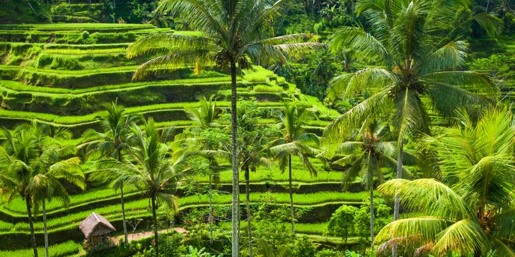 Odpočinek na Bali: 13 dní v 3* a 4* hotelech se snídaní, lekcemi jógy a výlety
