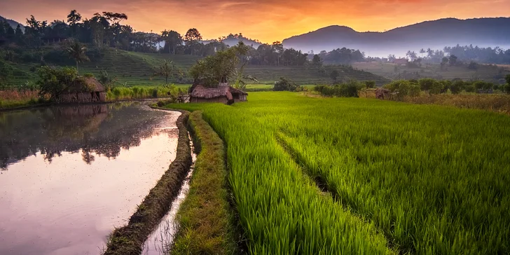 Svatba na Bali: 7 nocí v 3* a 4* hotelech, obřad na pláži i v chrámu a rafting