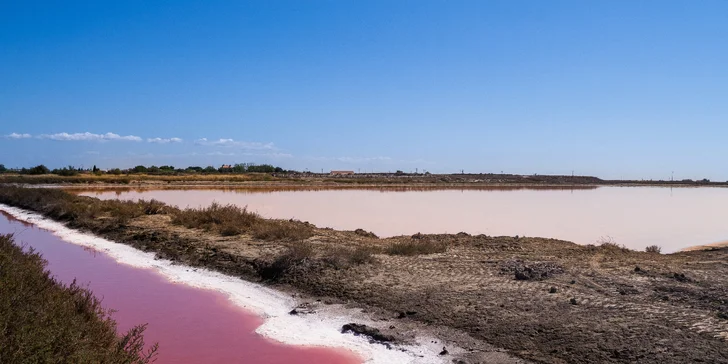Krásy levandulové Provence, Monaka, Cannes i Camargue: 3 noci se snídaní