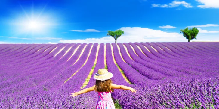 Krásy levandulové Provence, Monaka, Cannes i Camargue: 3 noci se snídaní