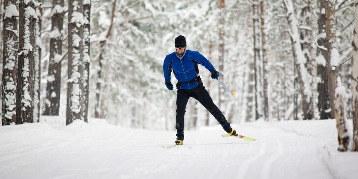 Servis lyží, běžek a snowboardu rakouskou race technologií Wintersteiger Discovery S Trim Disc *****