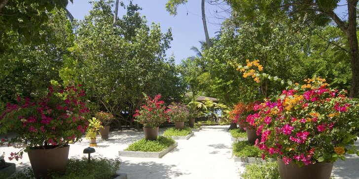 3* hotel na exotických Maledivách: 6–12 nocí, plná penze, wellness centrum, česky hovořící delegát na telefonu