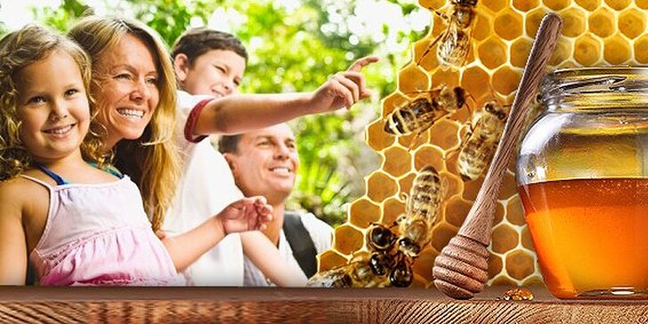 199 Kč za exkurzi do včelařské stanice pro celou rodinu a 950 g medu. Vše o zpracování medu a chovu včel se slaďoučkou prémií a slevou 50 %.