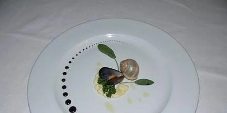 1680 Kč za 2 os./noc a francouzské degust. menu, ochutnávku vína a šanson