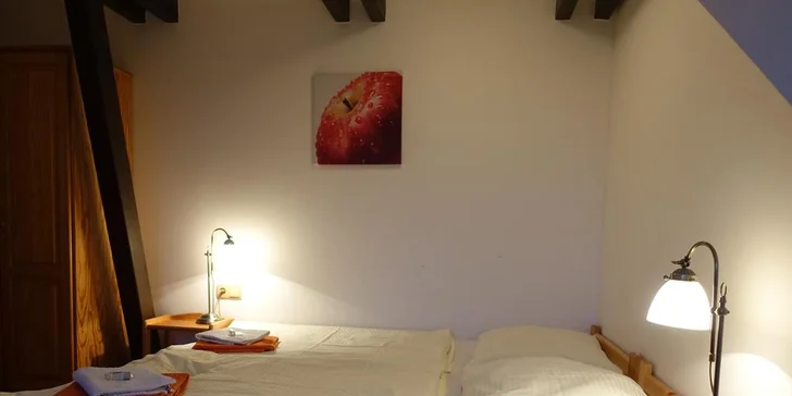 Aktivní odpočinek: pobyt s polopenzí a privátním wellness přímo pod hradem Trosky