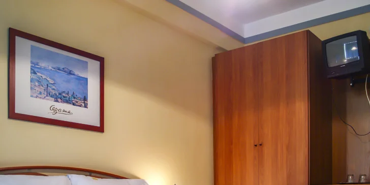 V pokoji najdete i TV a miniledničku.