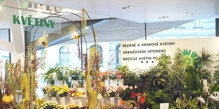 249 Kč za kytici 9ks velkých gerber přizdobených solidagem a zelení