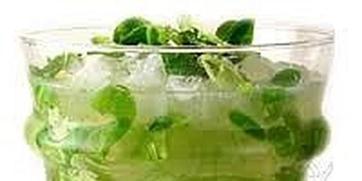 600 Kč Maxi Mojito nebo Maxi Cuba Libre (10 porcí) + 1 zdarma