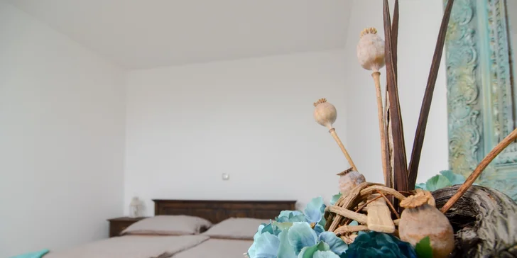Vinařský pobyt na jižní Moravě: polopenze i řízená degustace vín