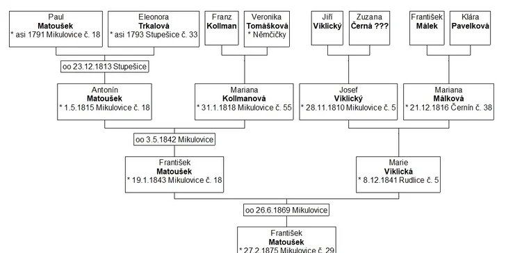 Úplný rodokmen, vývod ze strany matky i otce: 14–30 osob i databáze údajů