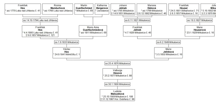 Úplný rodokmen, vývod ze strany matky i otce: 14–30 osob i databáze údajů