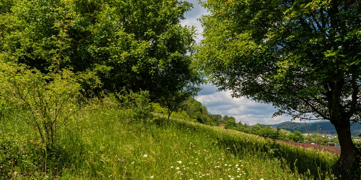 Preskúmajte tiež neobarokový kaštieľ so záhradou (kedysi patril Csákyovcom), rozhľadňu na Medveďom vrchu či vzdialenejší Spišský hrad, na ktorý máte výhľad priamo z chatky.