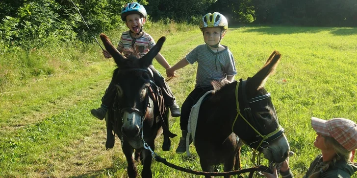S dětmi na oslí trek: rodinná vyjížďka s oslíky po přírodním parku Orlice