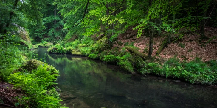 Focení v interiéru či exteriéru a 10 upravených fotek včetně retuše