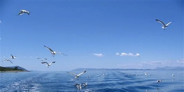 600 Kč za dopravu do Chorvatska na trase Praha - Brno - Zadar - Pag
