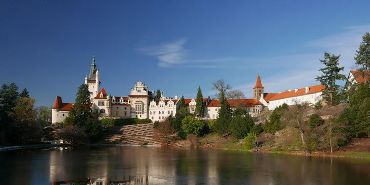 Domácí dort z kavárny Taroucafé: pařížský, punčový, jahodový i tiramisu