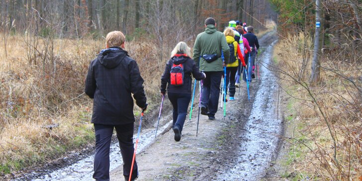 Pohyb podle Seveřanů: naučte se, jak správně provozovat Nordic Walking