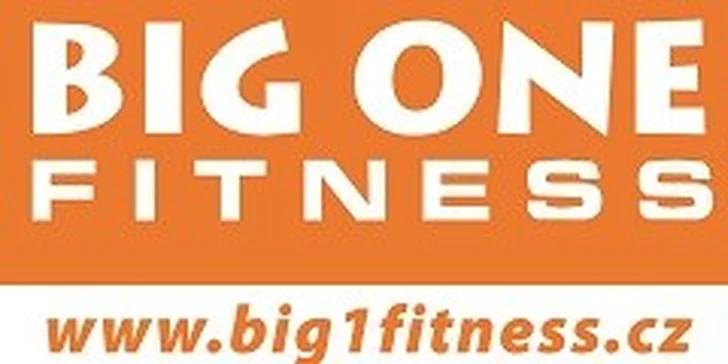 Vstup do posilovny nebo na lekci v Big One Fitness