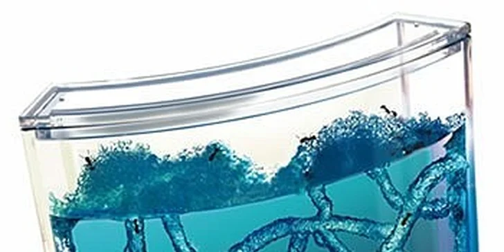 449 Kč za Antquarium - domácí mraveniště v původní hodnotě 799 Kč