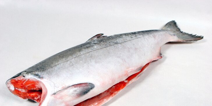 Pochutnejte si: cca 2 či 2,5 kg mraženého divokého lososa keta z USA