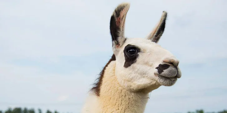 Celodenní zábava: rodinné vstupenky do Farmaparku až pro 5 osob