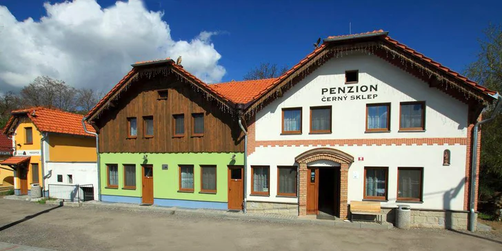 Vinařská dovolená u Znojma: Česká polopenze, degustace vín a zapůjčení kol