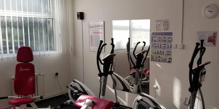3 nebo 10 vstupů na Vibro Gym pod dohledem trenérky v Expresce