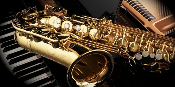 Vstupenka do klubu Reduta na koncert Tribute To World Legends: Ray Charles