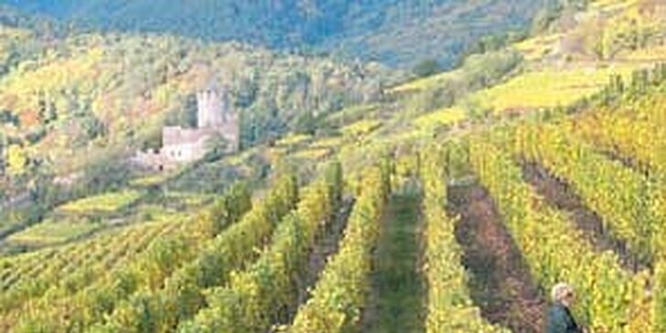 974 Kč za 3 odrůdová vína z Alsaska a 2 delikátní teriny v hodnotě 1454 Kč