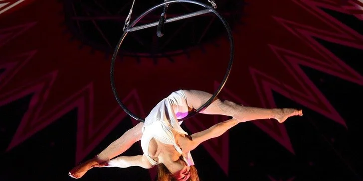 Hurá do Cirkusu Humberto v Pardubicích: akrobati, klauni i exotická zvířata