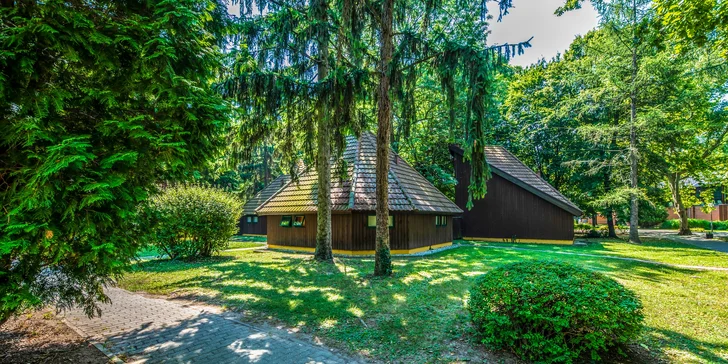 Bungalovy sú rozmiestnené uprostred zelene.