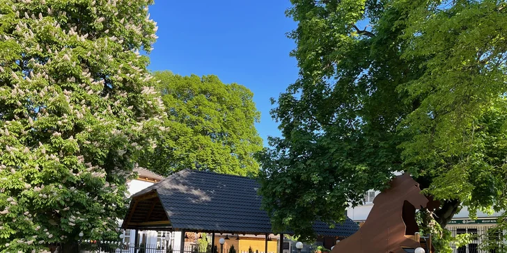 Přímo u penzionu najdete také dětské a workoutové hřiště.