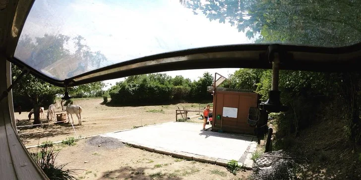 Vybavený karavan na ranči: pobyt mezi zvířaty s možností vyjížďky na koních